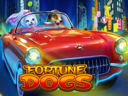 SOIBET Fortune Dogs